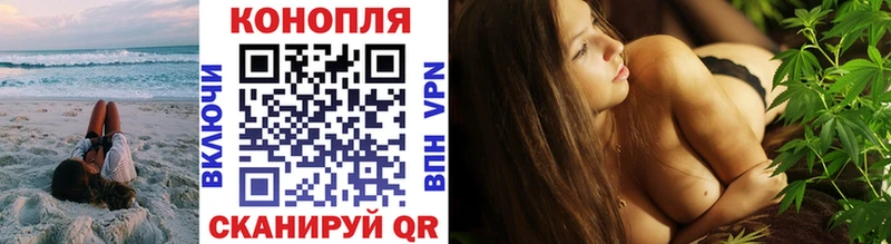 Магазин наркотиков Терек ОМГ ОМГ ссылка  Псилоцибиновые грибы  ЭКСТАЗИ  ГАШ  Марихуана  МЕФ  Cocaine  СК 
