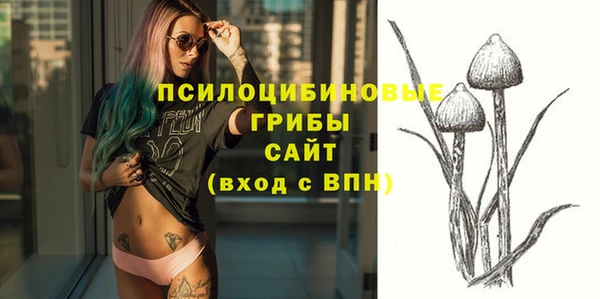 стафф Арсеньев