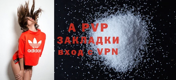 стафф Арсеньев