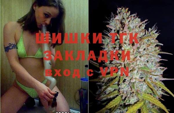 стафф Арсеньев
