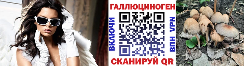 как найти наркотики  shop формула  Галлюциногенные грибы прущие грибы  Терек 